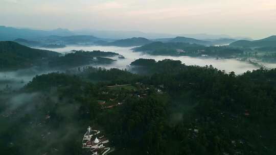 斯里兰卡，旅游，锡兰，雨林