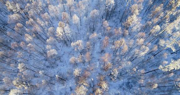 航拍雪原冰封雪林夕照