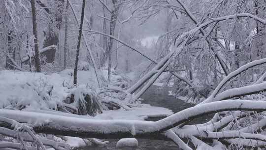 东北冬天长白山寒冷河流不冻河雾凇雪景