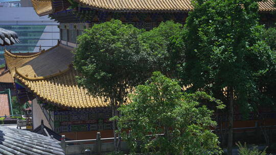 武汉洪山区宝通禅寺皇家寺院