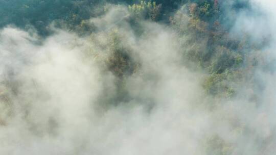 高山森林晨曦云海晨雾航拍