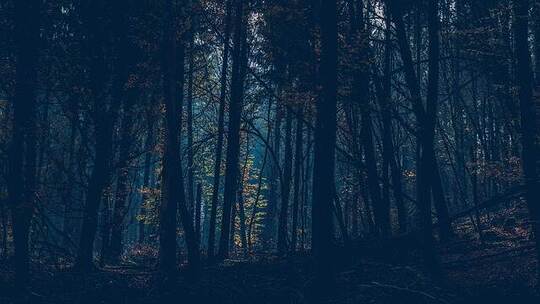 西宁凄声 惊悚 恐怖合成波 宣传片 短 西宁凄声 惊悚 恐怖合成波 宣传片 短