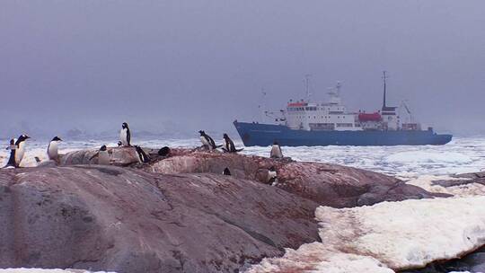 船漂浮在南极洲冰山之间视频素材模板下载