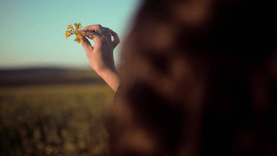 一个女人玩着摘花通过她的手指滚动