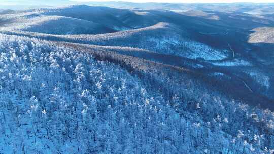 航拍大兴安岭黎明林海雪原