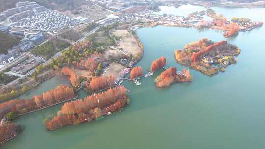 杭州湘湖秋天风景航拍