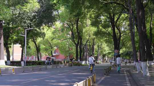 四川大学学校校园白昼实时