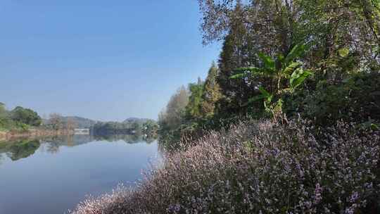 冬天郴州西河风光带河流河水花草