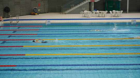 游泳馆泳道自由泳运动水中