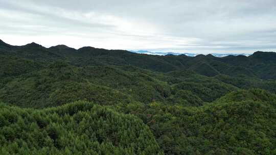 广元龙神阁及望远山绵延群山秀丽中华