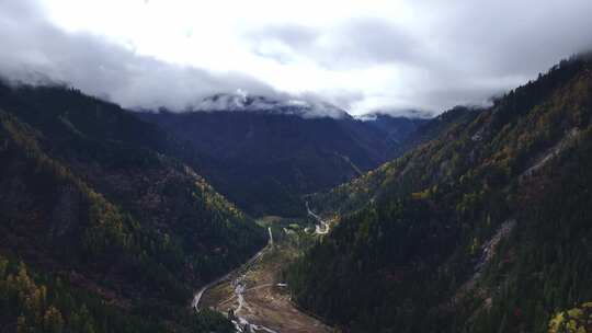 航拍九寨沟秋景彩林川西秋天原始森林五花海