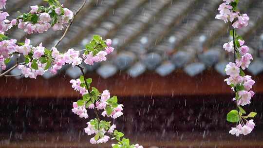 雨水 惊蛰 春天 雨季 春雨 立春