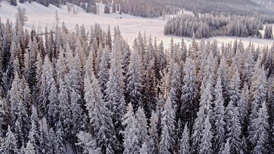 新疆喀纳斯禾木冬季雪景