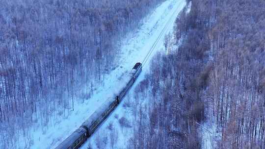 穿越雪森林的绿皮火车250104-8