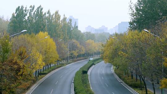 升格实拍北京五彩的秋天蜿蜒曲折的公路汽车