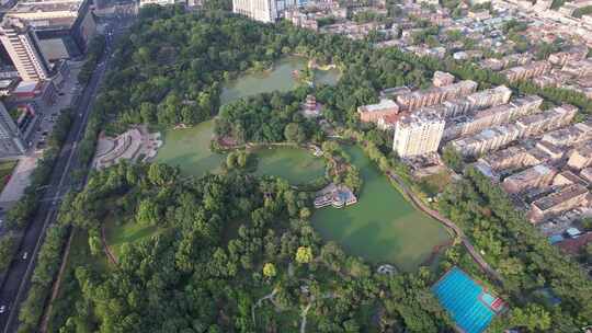 城市中绿树成荫的公园全景