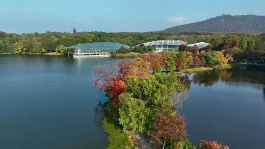 航拍南京中山陵前湖公园秋季景色