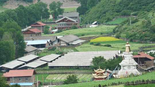 高原村庄田园森林风景