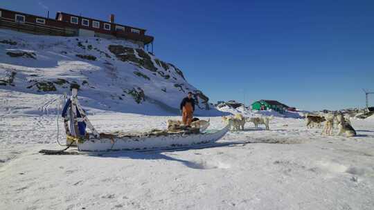 雪橇犬，雪橇，哈士奇，格陵兰