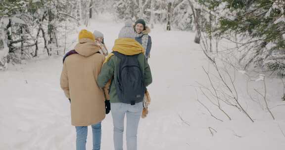 雪，徒步旅行，冬季，森林