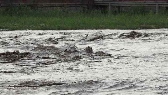 实拍暴雨后洪水 山洪  泥石流