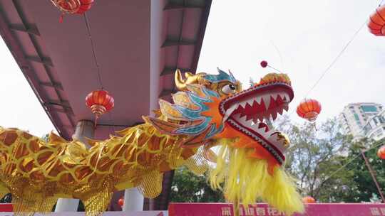 龙年舞龙春节喜庆表演  中国传统文化