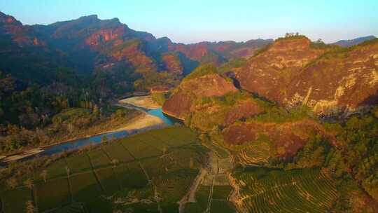 航拍武夷山国家公园九曲溪天游峰夕阳茶园