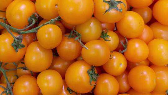 新鲜水果圣女果小番茄4k视频