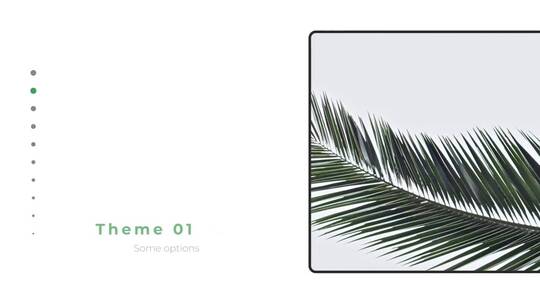 清新丛林植物幻灯片过渡照片展示AE模板