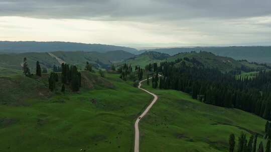 新疆伊犁 恰西草原 自然风光 旅行  自驾