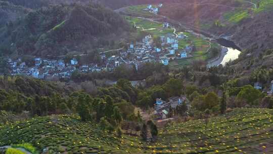 安徽黄山石潭油菜花