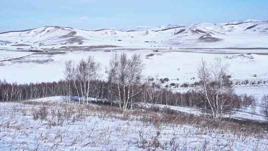 冬季内蒙古乌兰布统蓝天白云雪景