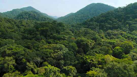 云南广西森林茂密树木绿色植被绿色青山 (3)视频素材模板下载