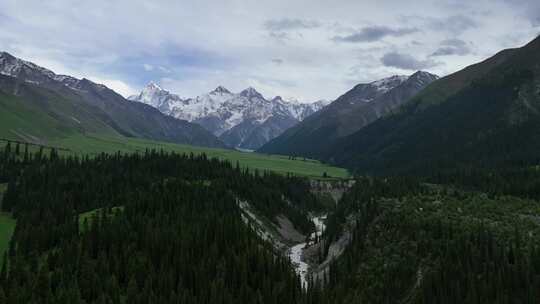 夏塔景区木札特峰昭苏伊犁雪山林场