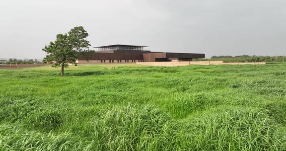 洛阳二里头夏都博物馆航拍芦苇荡建筑美学