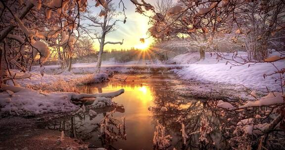 大自然冬天 美丽的森林树木河流雪景
