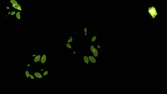 绿叶背景小装饰视频视频素材模板下载