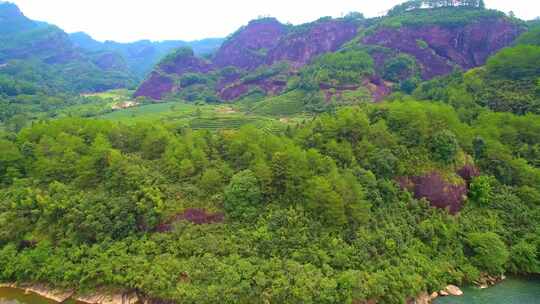 航拍武夷山九曲溪竹筏漂流丹霞地貌岩茶茶园