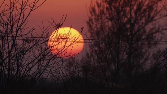 夕阳日落视频素材模板下载