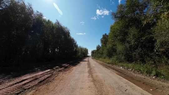 驾车行驶在林间道路