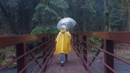 森林桥上的黄色雨衣和透明伞