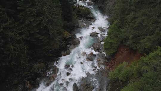 诺克萨克河，华盛顿州，森林，溪流