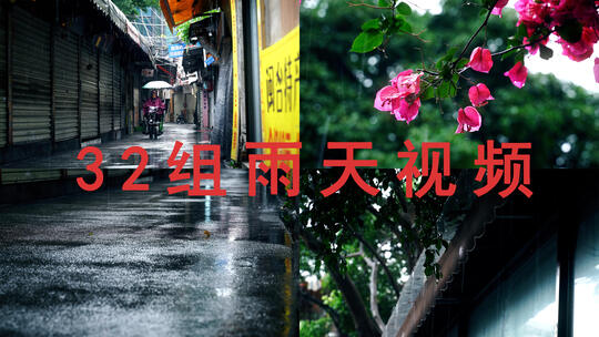 下雨天行人巷子屋檐雨滴雨水马路面花草树叶视频素材模板下载