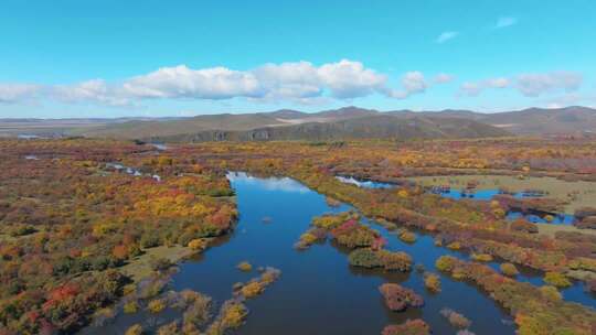 秋季河流森林自然风光航拍