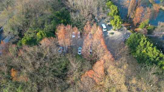 杭州市西湖区西溪湿地美景风景视频素材