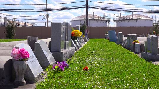 路易斯安那州的一个墓地视频素材模板下载