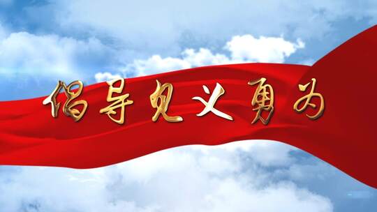 大气立体字幕党政政府文字大红红色AE模板