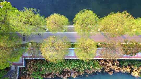 航拍武汉旅游5A级东湖绿道自然湖景视频素材模板下载
