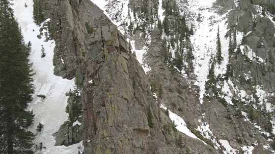 雪山上松树的无人机视频