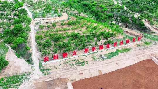 航拍山坡果园及习语标语景观